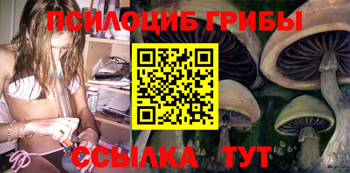 Галлюциногенные грибы MAGIC MUSHROOMS  Вход с VPN  Новочебоксарск 