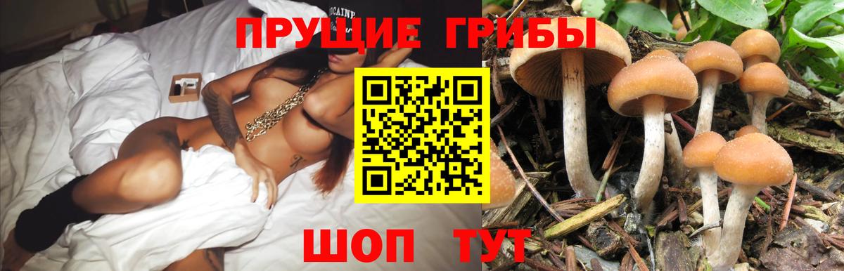 Галлюциногенные грибы мицелий Новочебоксарск